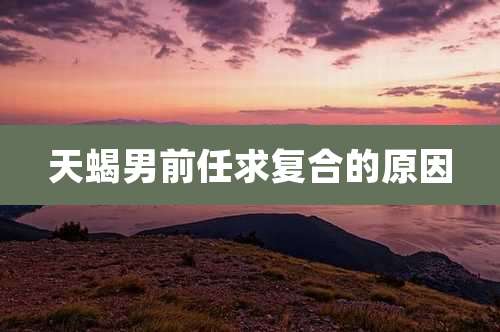 天蝎男前任求复合的原因