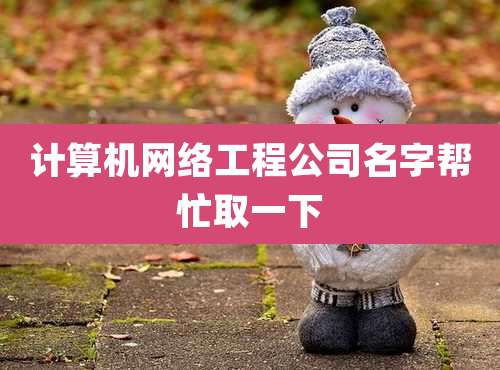 计算机网络工程公司名字帮忙取一下
