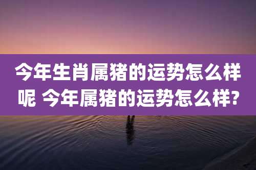 今年生肖属猪的运势怎么样呢 今年属猪的运势怎么样?