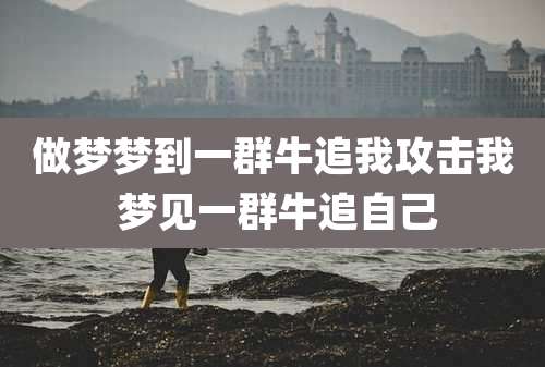 做梦梦到一群牛追我攻击我 梦见一群牛追自己