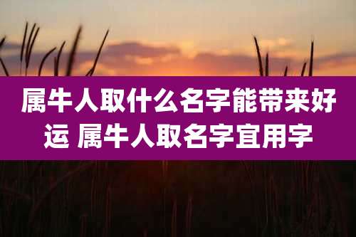 属牛人取什么名字能带来好运 属牛人取名字宜用字