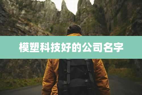 模塑科技好的公司名字
