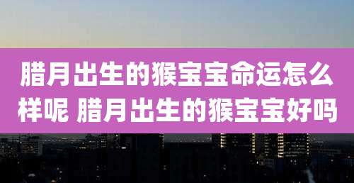 腊月出生的猴宝宝命运怎么样呢 腊月出生的猴宝宝好吗