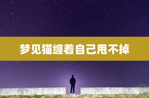 梦见猫缠着自己甩不掉