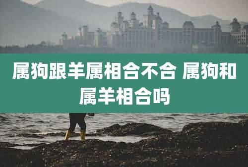 属狗跟羊属相合不合 属狗和属羊相合吗
