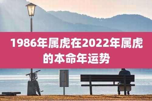 1986年属虎在2022年属虎的本命年运势