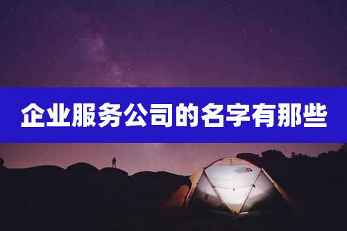 企业服务公司的名字有那些