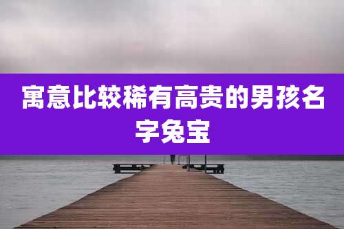 寓意比较稀有高贵的男孩名字兔宝