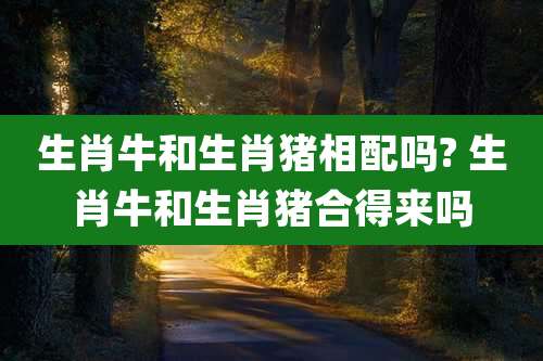 生肖牛和生肖猪相配吗? 生肖牛和生肖猪合得来吗