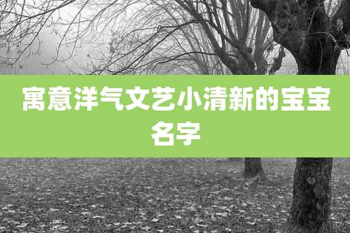 寓意洋气文艺小清新的宝宝名字