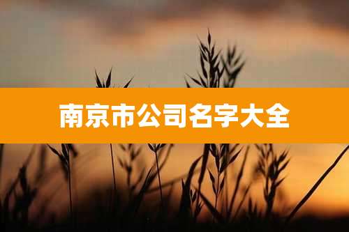 南京市公司名字大全