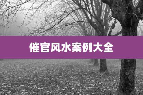 催官风水案例大全