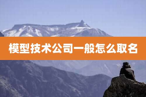 模型技术公司一般怎么取名