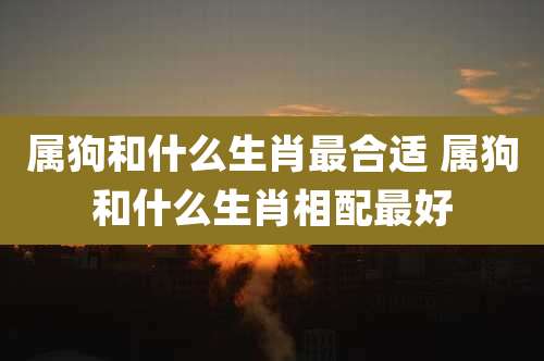 属狗和什么生肖最合适 属狗和什么生肖相配最好