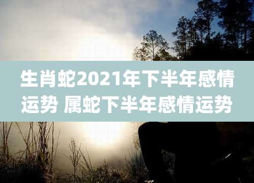 生肖蛇2021年下半年感情运势 属蛇下半年感情运势