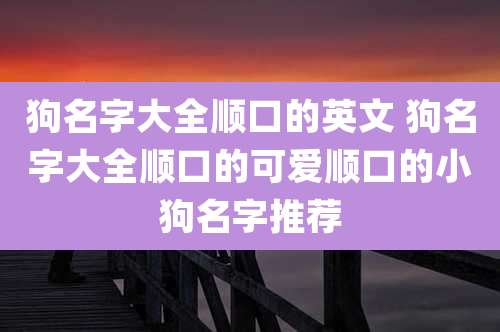 狗名字大全顺口的英文 狗名字大全顺口的可爱顺口的小狗名字推荐