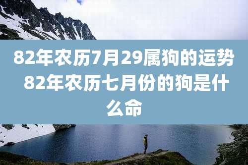 82年农历7月29属狗的运势 82年农历七月份的狗是什么命