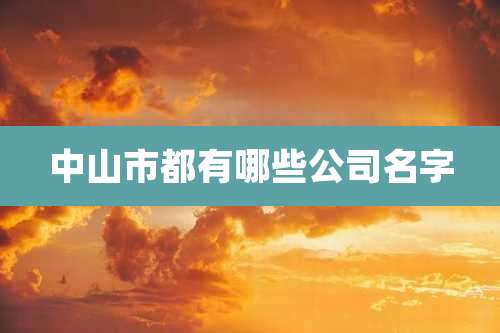 中山市都有哪些公司名字