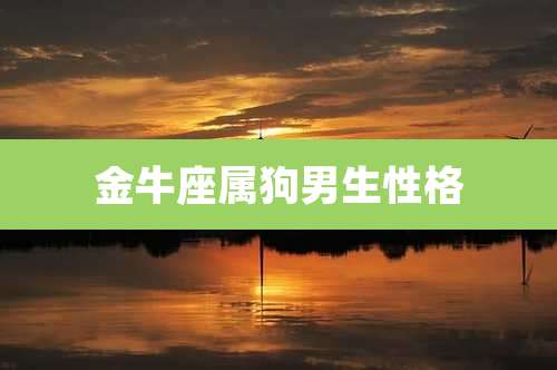 金牛座属狗男生性格