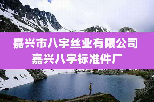 嘉兴市八字丝业有限公司 嘉兴八字标准件厂
