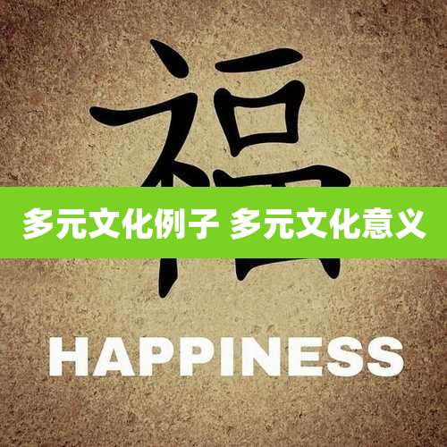 多元文化例子 多元文化意义
