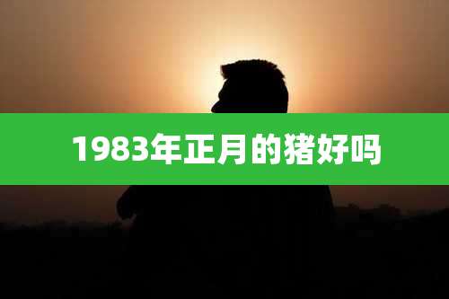 1983年正月的猪好吗