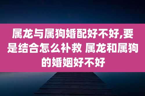 属龙与属狗婚配好不好,要是结合怎么补救 属龙和属狗的婚姻好不好