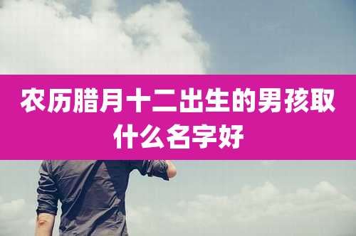 农历腊月十二出生的男孩取什么名字好