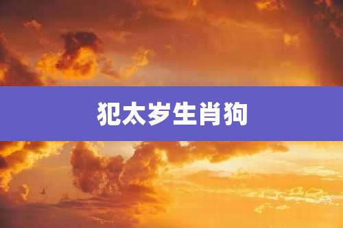 犯太岁生肖狗