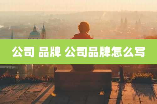 公司 品牌 公司品牌怎么写