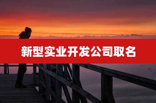 新型实业开发公司取名