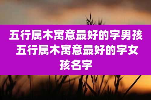 五行属木寓意最好的字男孩 五行属木寓意最好的字女孩名字