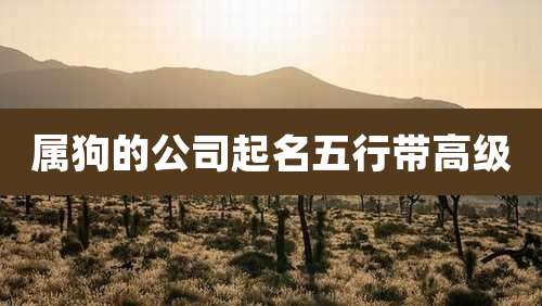 属狗的公司起名五行带高级