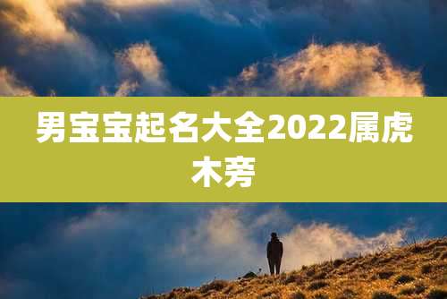 男宝宝起名大全2022属虎木旁
