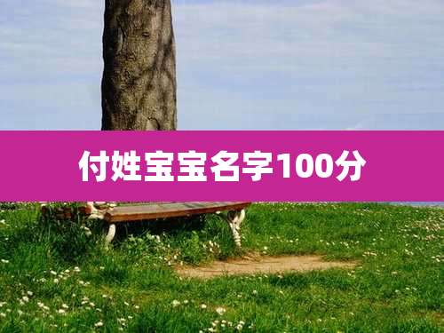 付姓宝宝名字100分
