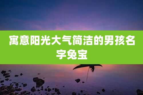 寓意阳光大气简洁的男孩名字兔宝
