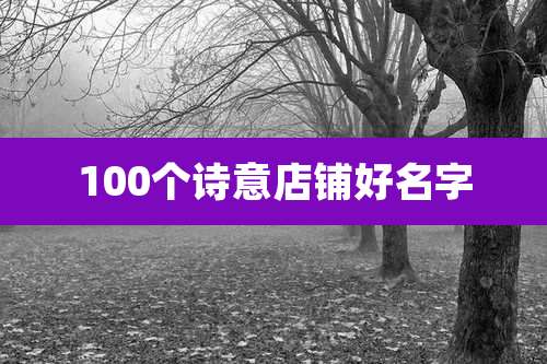 100个诗意店铺好名字