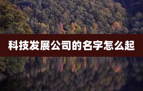 科技发展公司的名字怎么起