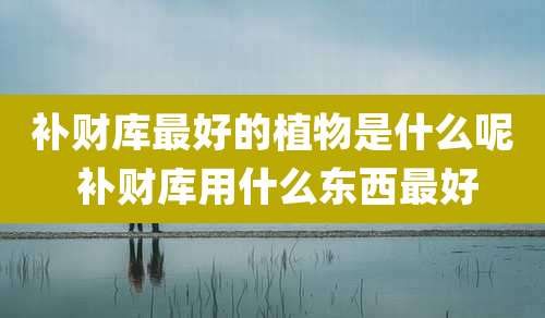 补财库最好的植物是什么呢 补财库用什么东西最好
