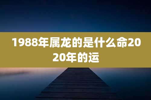 1988年属龙的是什么命2020年的运