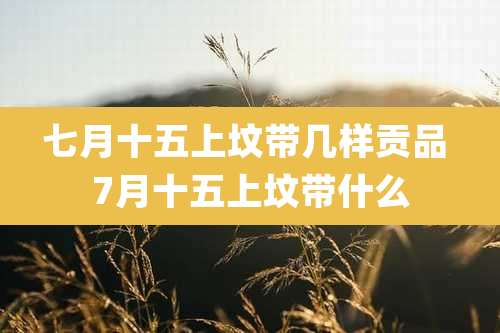 七月十五上坟带几样贡品 7月十五上坟带什么