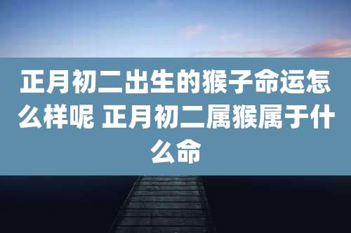 正月初二出生的猴子命运怎么样呢 正月初二属猴属于什么命