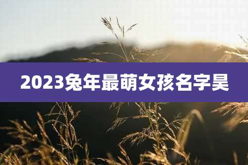 2023兔年最萌女孩名字昊