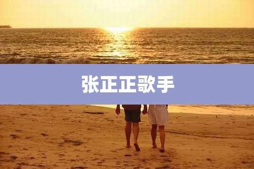 张正正歌手