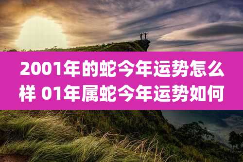 2001年的蛇今年运势怎么样 01年属蛇今年运势如何