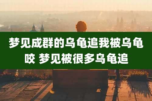 梦见成群的乌龟追我被乌龟咬 梦见被很多乌龟追