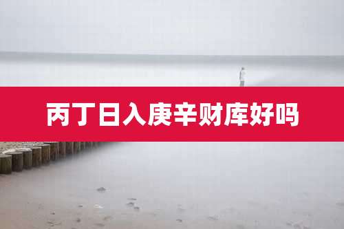 丙丁日入庚辛财库好吗