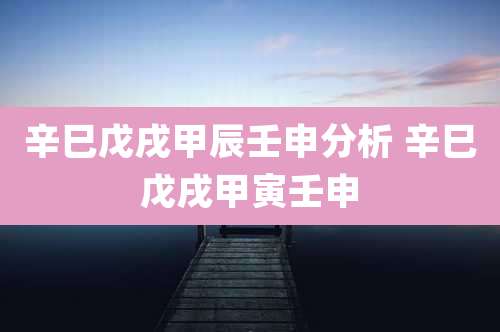 辛巳戊戌甲辰壬申分析 辛巳戊戌甲寅壬申