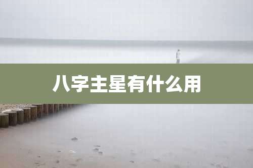 八字主星有什么用