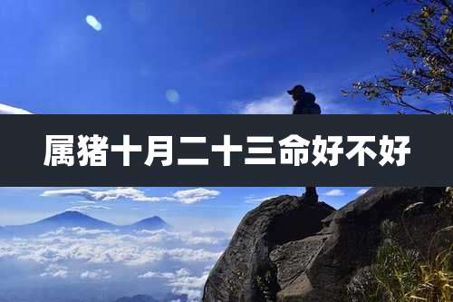 属猪十月二十三命好不好